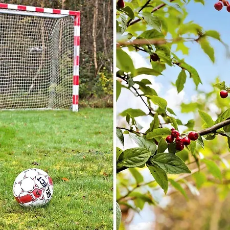 Tv1559-strandby-havremarken-9